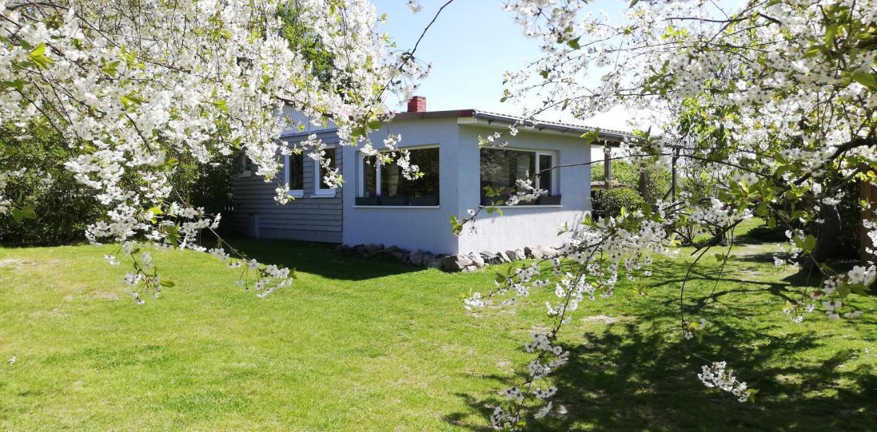 Apartamento Drifthof Glowe Exterior foto
