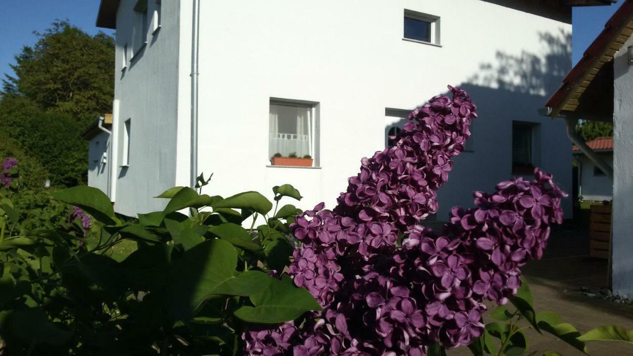 Apartamento Drifthof Glowe Exterior foto